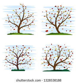 Set of four colorful stylized autumn trees. Foxes crumbled from trees. Beautiful stylized grass. Cute blue sky