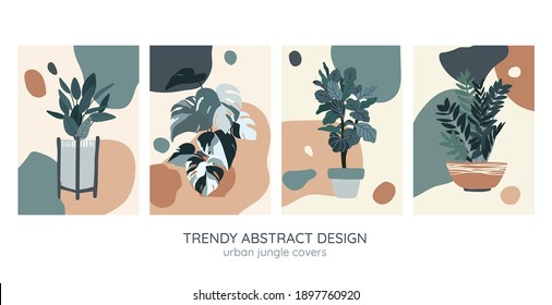 Set of four covers templates, indoor plants, modern abstract background, hand drawn vector illustration.