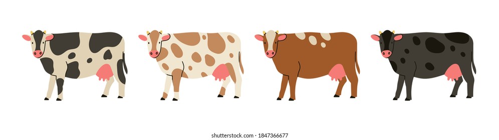 Set of four Cows standing and looking in camera. Hand drawn colored trendy Vector illustration. Funny characters. Cartoon style. Flat design. Different colors. Isolated on white background