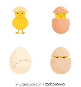 Conjunto de cuatro ilustraciones de dibujos animados lindos que representan las etapas del ciclo de vida de un pollo
