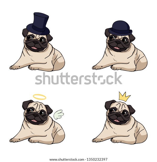 accessories for pugs