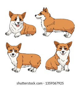 Set of four cute cartoon pembroke welsh corgi isolated on white background. Vector dog illustration