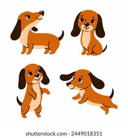 Set of four cute dachshund dogs. Vector graphics.