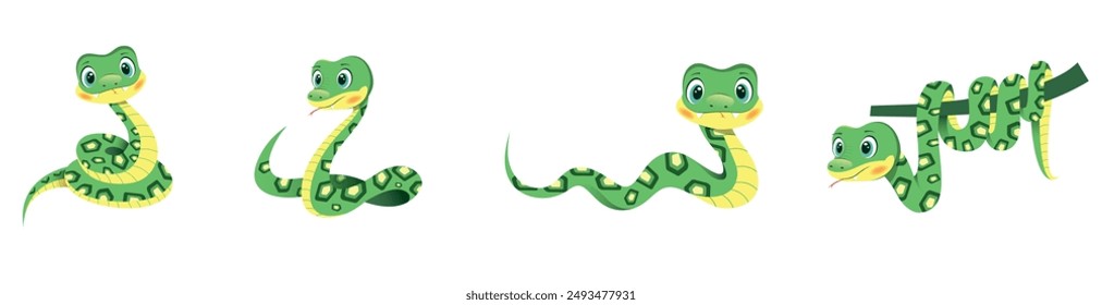 Set of four cute green snake cartoon characters in different poses