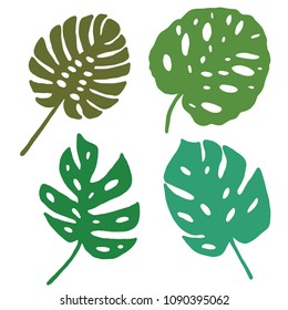 Set of four cute tropic vector monstera  leaves, isolated on white background. Good for invitation, post-cards and any project.