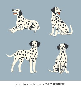 Set of four Dalmatian dogs in different poses. Vector graphics.