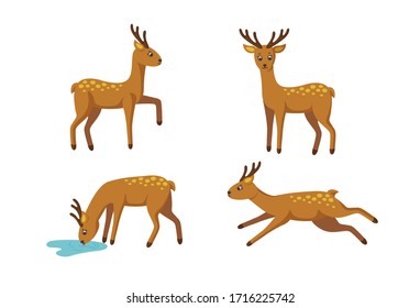 Set of four deers for cute patterns and designs. Vector illustration in cartoon style