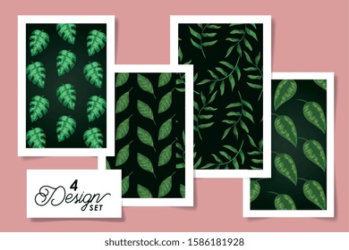 set of four designs leafs tropicals vector illustration design