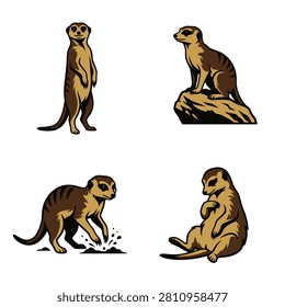Set of four detailed meerkat illustrations showing standing sitting and digging poses isolated on white background