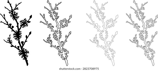 Set of four different black and white branch illustrations with lichen and buds for nature design . Editable.