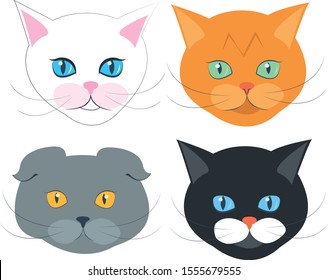Set four different breeds of cats. Vector illustration face. Isolated portrait on white background. Cat icon head. Cute kitty, animal's head logo in a flat style, cat's face. 