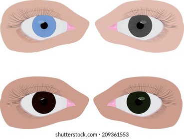 set four different color eyes of human