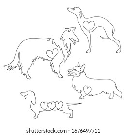 Set of four different dog breeds. Corgi, Dachshund, collie and Greyhound.