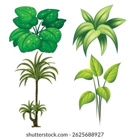 Set of Four Different Green Plants
