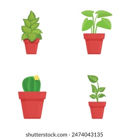 Conjunto de cuatro diferentes plantas en maceta, incluyendo un cactus y verdes frondosos, aislados sobre un fondo blanco