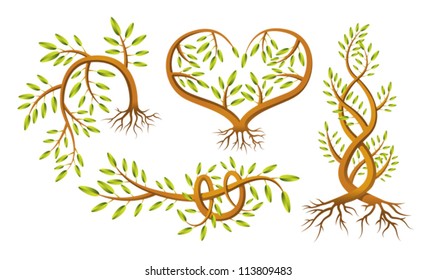 A set of four different shaped sapling illustrations. Eps 10 Vector.