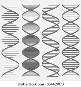 Set of four DNA models. Vector illustration for your graphic design.