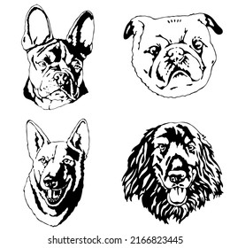 Set Four dogs  Heads French Bulldog  German Shepherd  Pug  Labrador  The portraits pedigree dogs isolated the white background  Vector hand drawing Illustration 