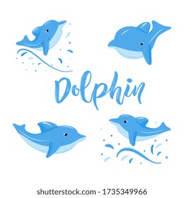 Set of four dolphins jumping with water splash. Hand texture lettering. Vector illustration. As logo for kids shop, toy store, print, image for children book. Aquatic animal. Wildlife. Sea, ocean life