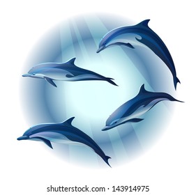 set of four dolphins, vector illustration