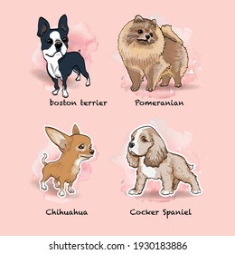 Set of four drawings of dogs of different breeds. Boston terrier, pomeranian, chihuahua and cocker spaniel