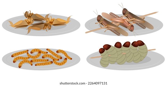 Set of four edible bugs