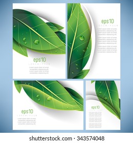 set of four elegant green leaves elements nature ecology business leaflet brochure background design