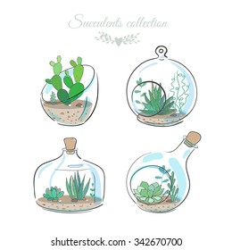 set of four floral compositions with succulents and cactus in decorative glass vases, vector illustration