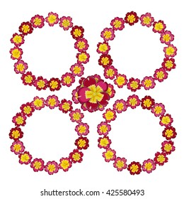 Set of four floral frames. Summer and spring flowers primrose. Red and yellow colors