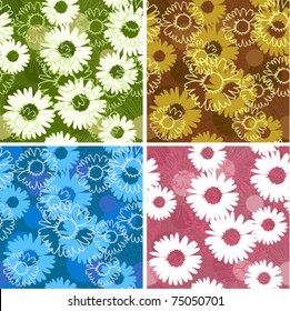 Set of four floral seamless patterns with daisies/camomiles