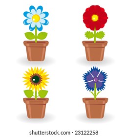 Set of four flowers in flowerpots (chamomile, rose, bluet, sunflower)