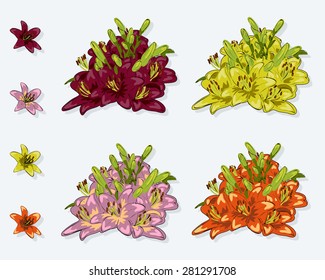 Set of four flowers lilies. Pink, yellow, orange and maroon lily. Flowers lilies painted by hand.