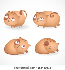 Set of four funny cats, isolated on white.