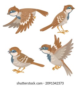 Set of four funny sparrows in different poses, flying and sitting. In cartoon style. Isolated on white background. Vector illustration.