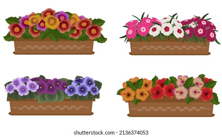 Juego de cuatro cajas de jardinería con flores.Carnación, hibiscus, abutilon,flores violetas.Ilustración vectorial