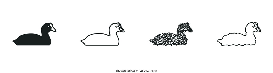 A set of four graphic representations of a coot bird, showcasing a silhouette, outline, sketch, and rough outline style