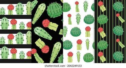 Set of four green exotic desert cactus in summer over multicolored background available in isolated vector illustration