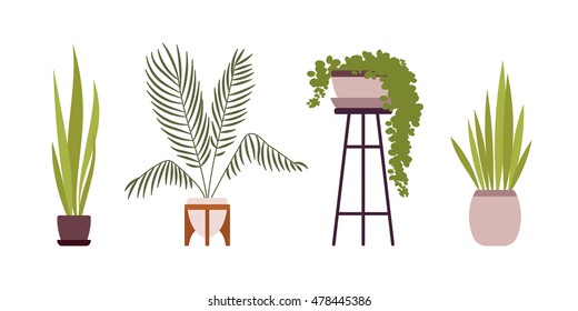 Set of four green floor plants in retro pots isolated against white background. Cartoon vector flat-style illustration