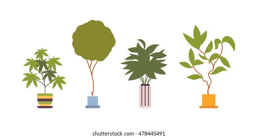 Set of four green floor plants in retro pots isolated against white background. Cartoon vector flat-style illustration