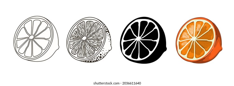 Set of four halves of an orange - outline style, doodle, cartoon and black silhouette of an orange. Stock vector illustration isolated on a white background.