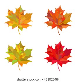 a set of four hand drawn maple leaves, art illustration; a maple leaf in red, yellow, orange, and green colors