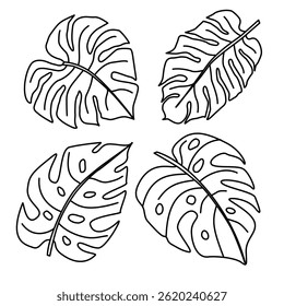 Set of four hand-drawn monstera leaves in black outline style. Simple tropical leaf collection for coloring books, botanical design, eco branding, stickers, and tropical decor.