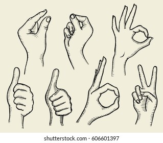 Set of Four Hands with Thumb Finger Up, Victory and O.K. Symbol Hands. Vector Illustration