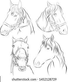 Racehorse Black Background Stock Vectors Images Vector