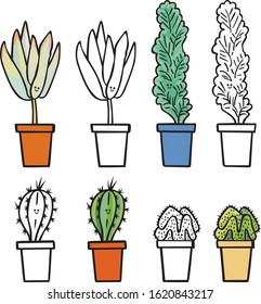 Set of four illustrated cactus and succulent plants