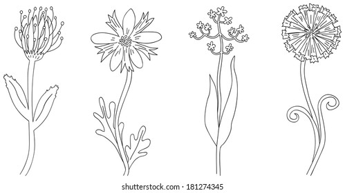 California Poppy Flowers Drawn Sketch Lineart Stock Vector (Royalty ...