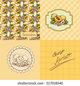 Set of four images. Seamless background of apricot. Apricot in the contour lines, sketch. Label with apricot and background with cell. Apricots with flowers and leaves. Lettering. Vector.