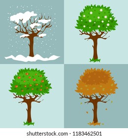 Set of four images that show changes in the tree’s state in each year seasons, vector image, eps10