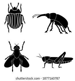 Set of four insects agricultural pests. Black silhouettes on white background of Colorado potato beetle, weevil, locust and flies