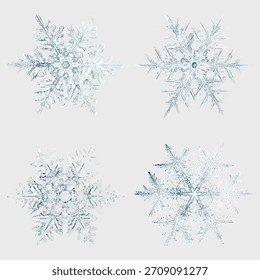 Set of four intricate snowflakes, each unique and delicate. Snowflakes in icy blue tones, showcasing detailed patterns. Perfect for winter-themed designs. Winter element vector.